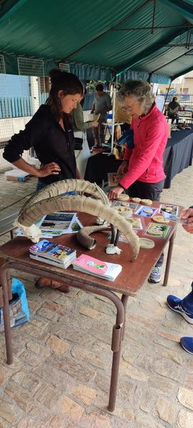 Concert, marché artisanal et bal du 13 juillet à Villar d'Arène_Villar-d'Arêne