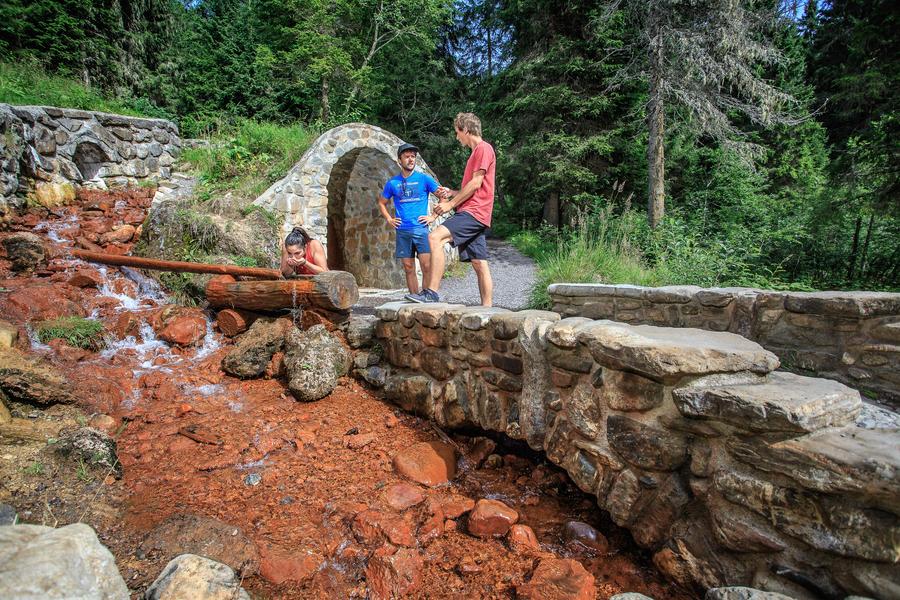 Parcours trail 24 bleu - Tour de la Foilleuse_Morgins