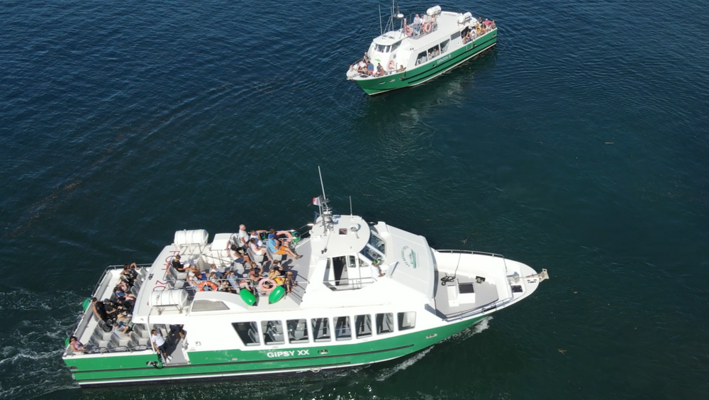 Les Bateaux Verts navettes et excursions maritimes