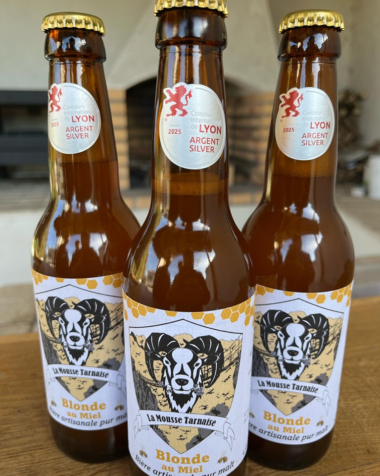 494151348_646946211677701_6523226684566529591_n