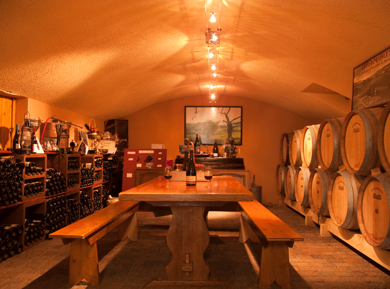 Vignobles Bulliat à Villié-Morgon