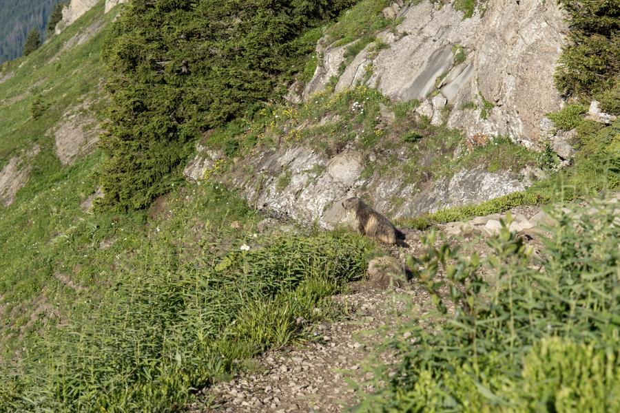Massif de Tournette-Aravis GRP® - Partie Nord en 4 jours à pied