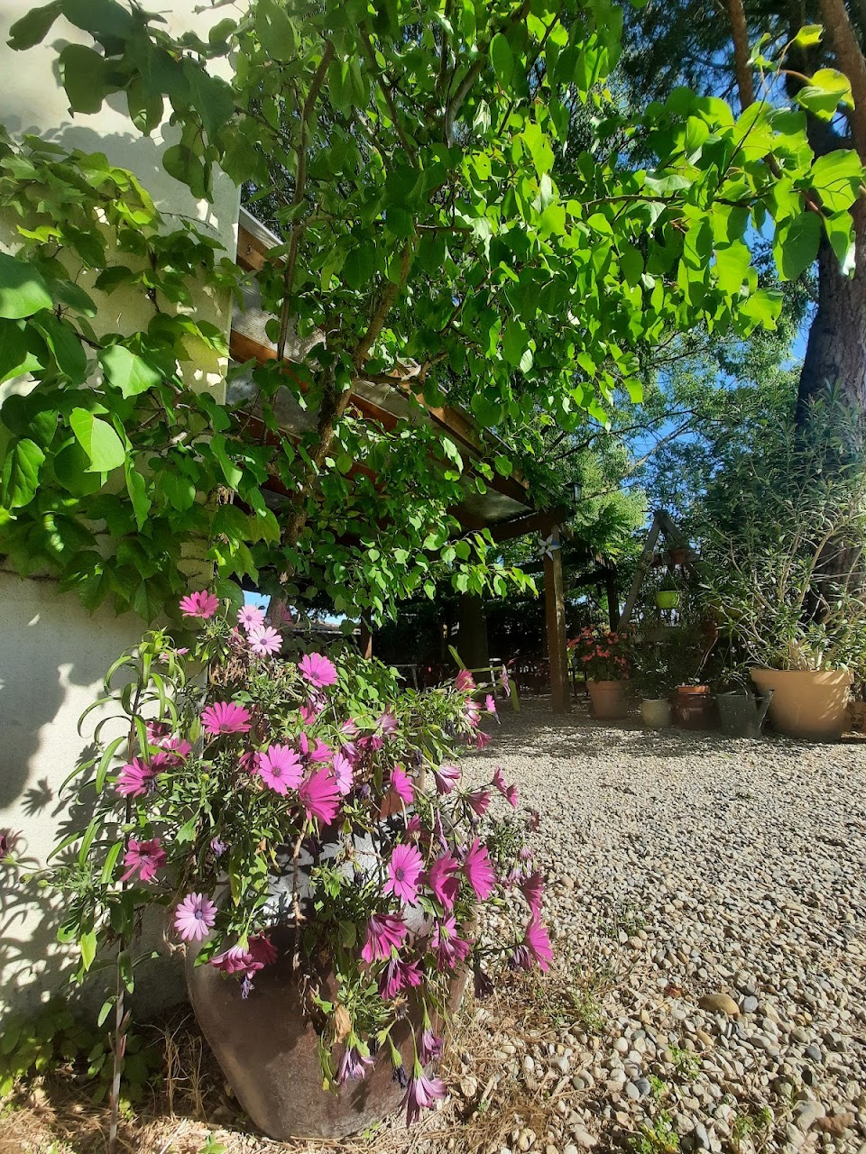 340ec2e5c1680c7c9d74435b4309c733