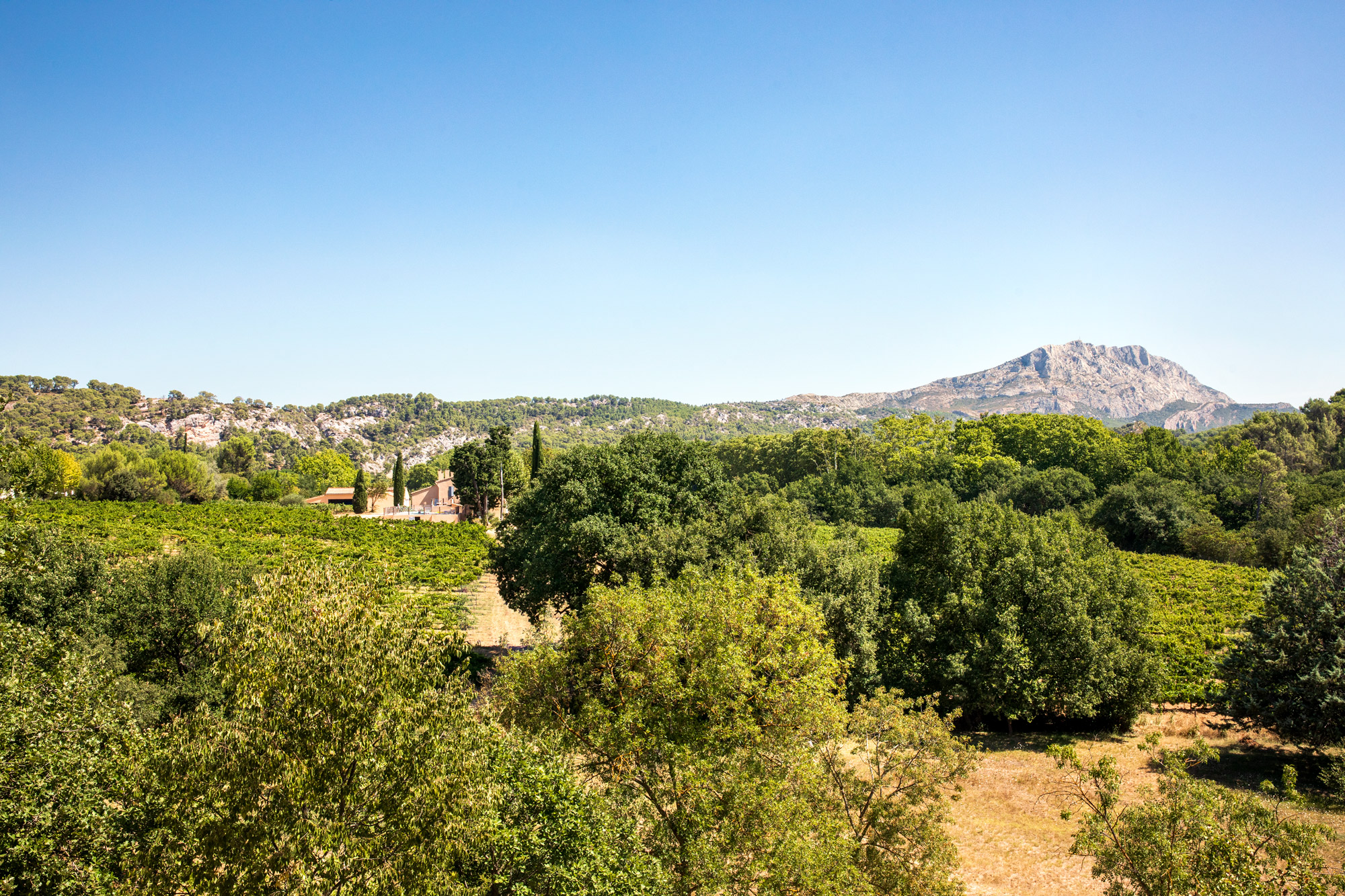 Domaine Les Artauds — photo 2