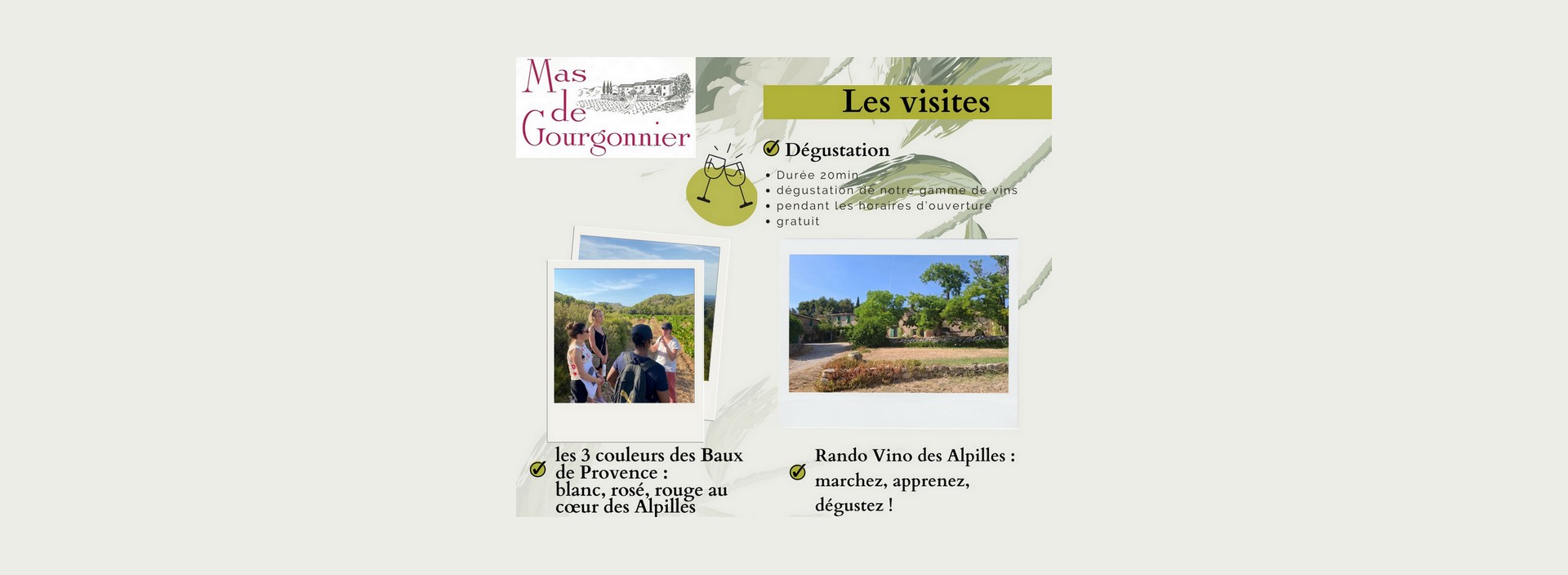 Visite du domaine viticole Mas de Gourgonnier - Les 3 couleurs