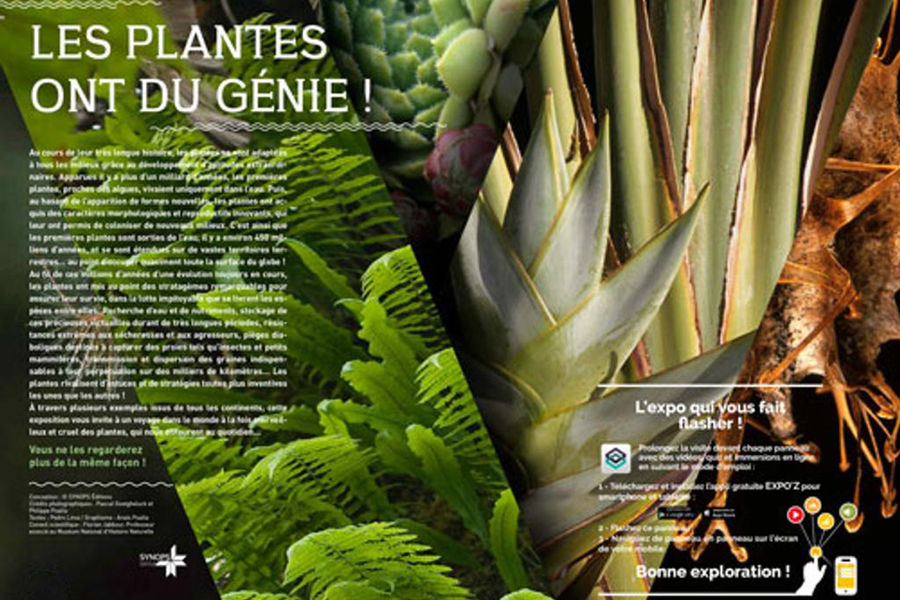 Exposition "Les plantes ont du génie"