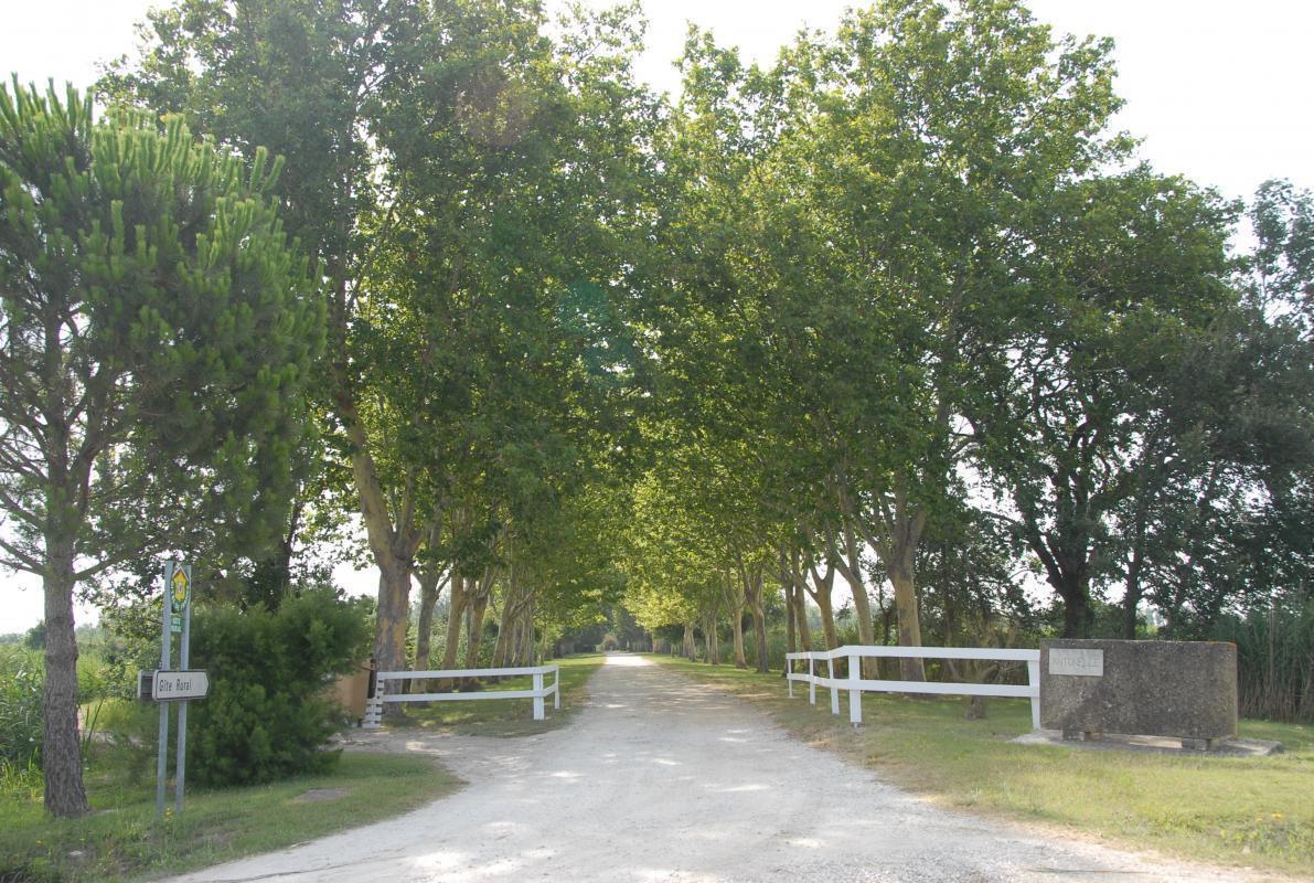 Le Pigeonnier, Arles - photo 21