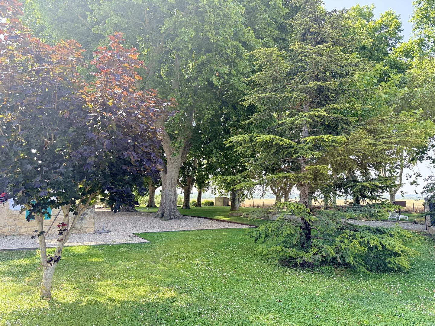 Gite L'Olivier, Fontvieille - photo 4