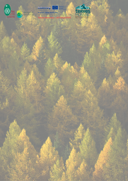 Formation 'Forêts de montagne'