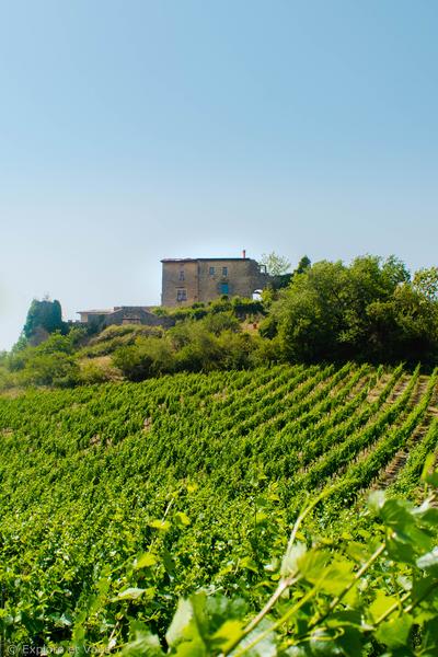Itinérance l'Ain à Vélo - Au pays de Brillat-Savarin (2 jours)_Culoz-Béon-7