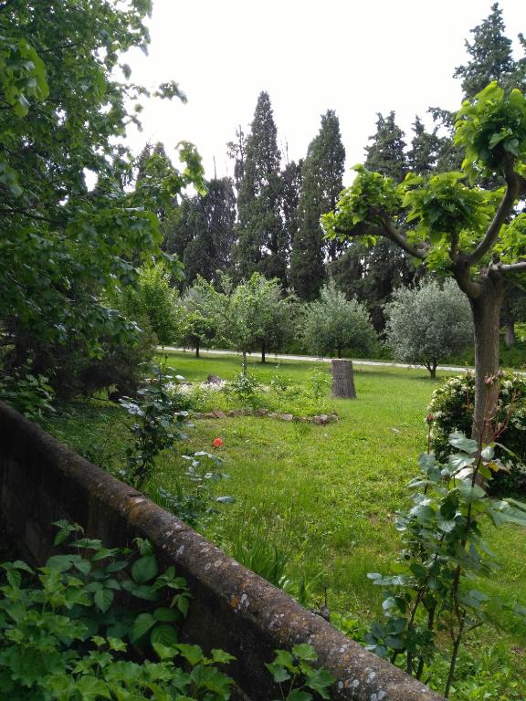 Rêve d'Emma, Plan-d'Orgon - photo 12