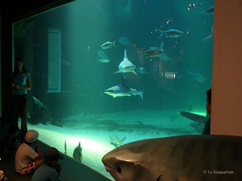 Seaquarium