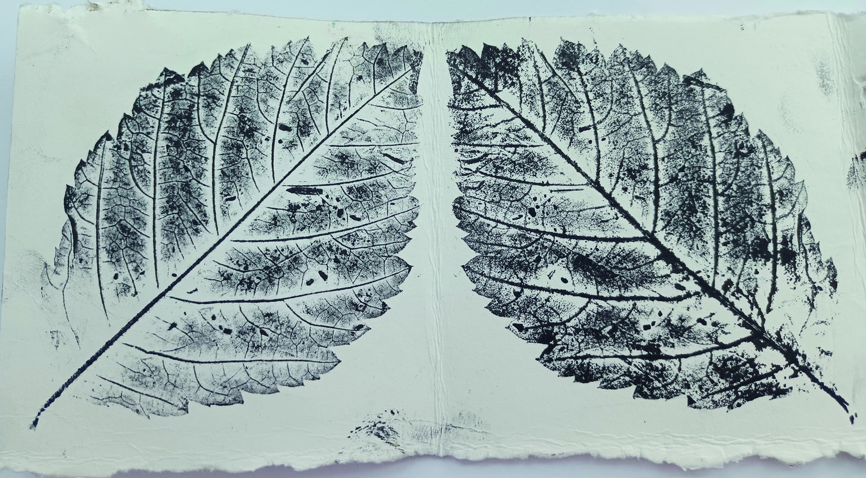 Atelier créatif et ludique "Couleurs végétales"