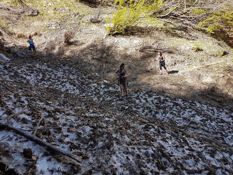 Sentier pédestre : Doran par le sentier du Gypaète