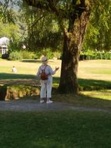 Dialogue avec l'arbre