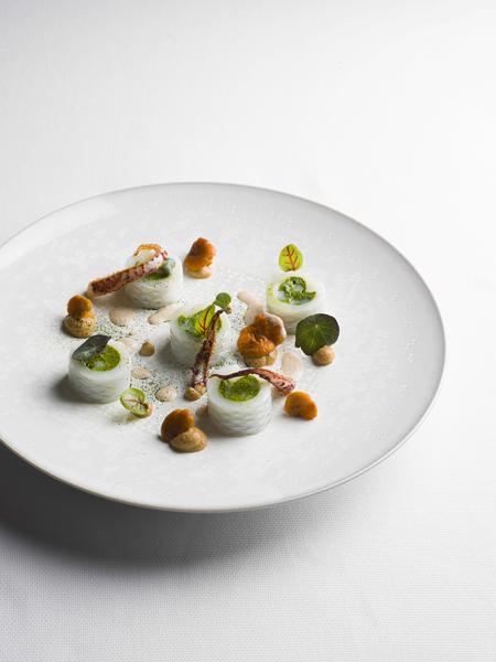 encornet herbes fraiches plancton