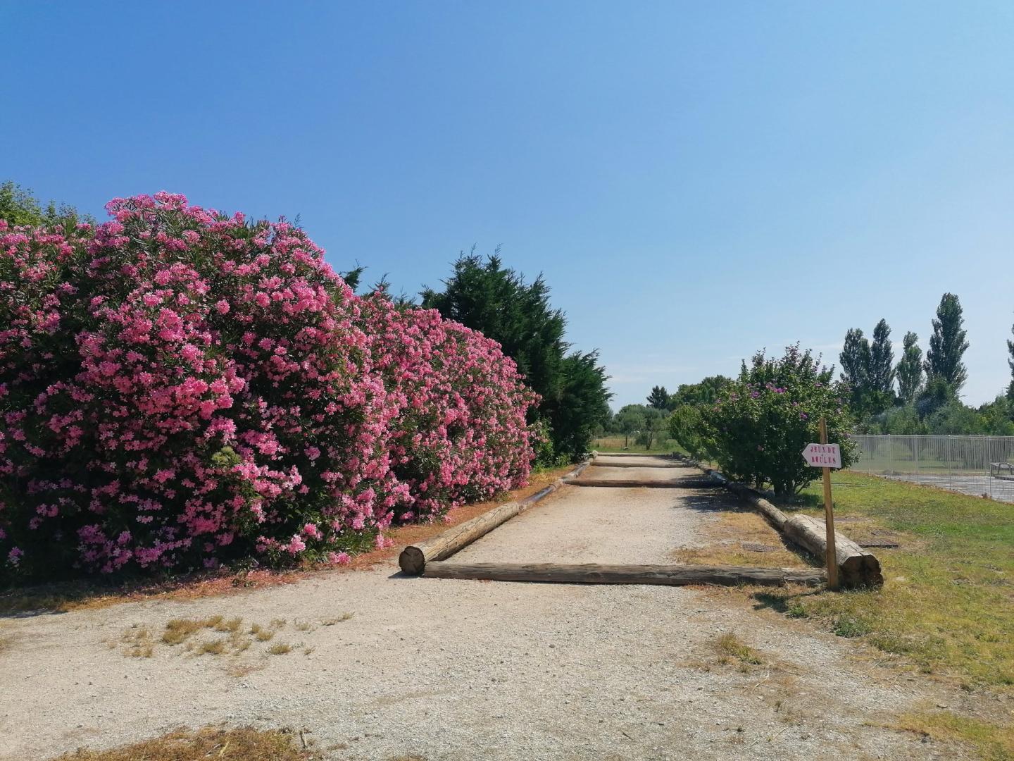 Luberon - Mas Canillac, Châteaurenard - photo 4