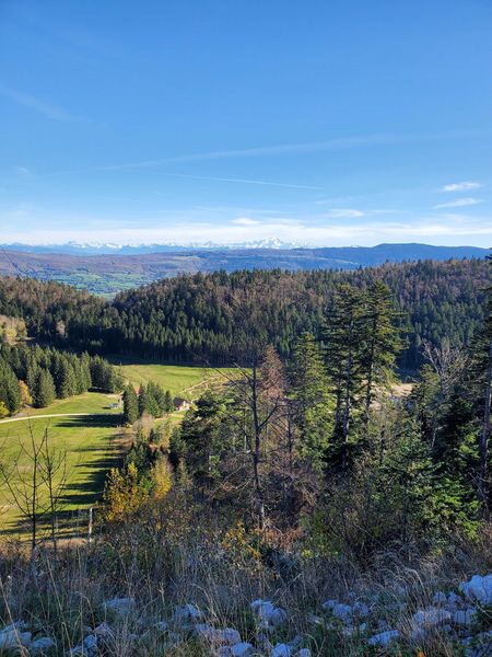 La Praille et le Mont Blanc