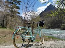 Camping Domaine de Chasteuil Provence