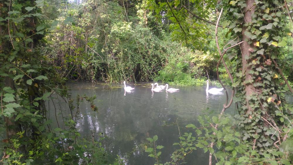 Islon St Luc - Châteauneuf du Pape