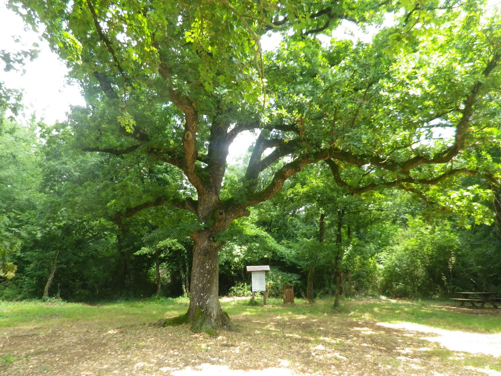 Course d' orientation - E.S.O Essouvert - Circuit Bleu