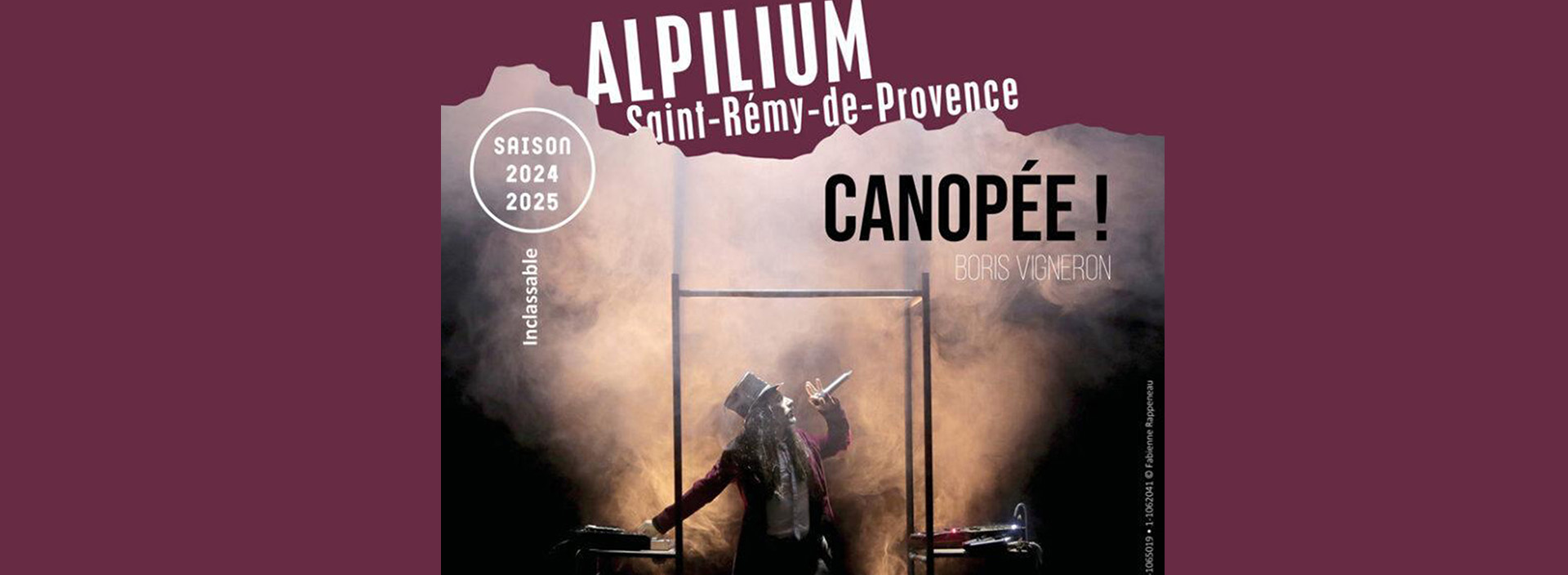 Alpilium : Spectacle Canopée_Saint-Rémy-de-Provence