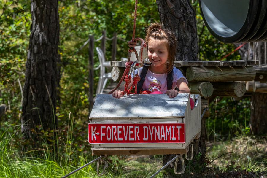 Adventure Forest