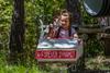 Adventure Forest