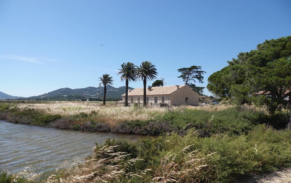 Le Tympan du salin des Pesquiers_Hyères