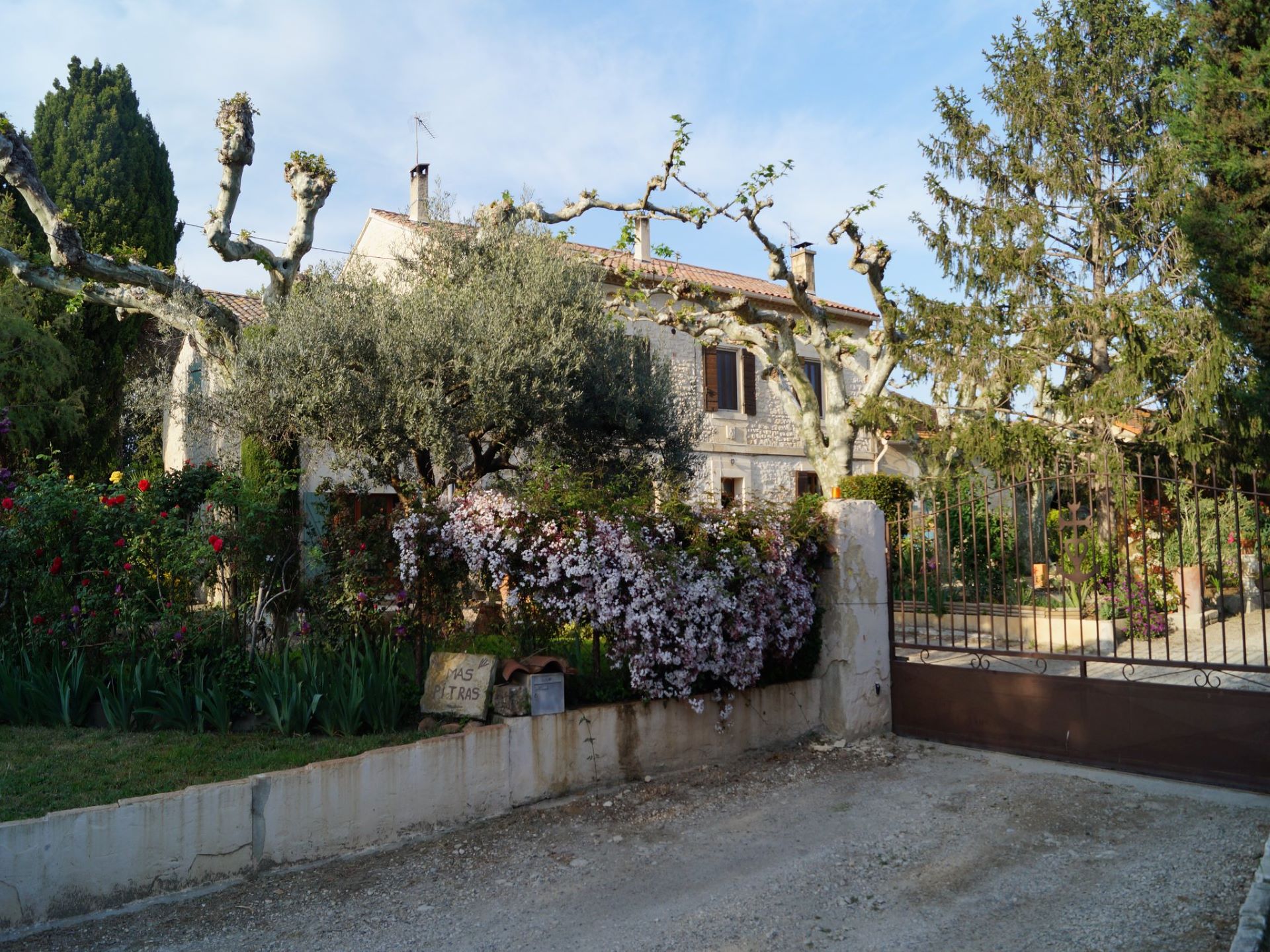 Mas Pitras