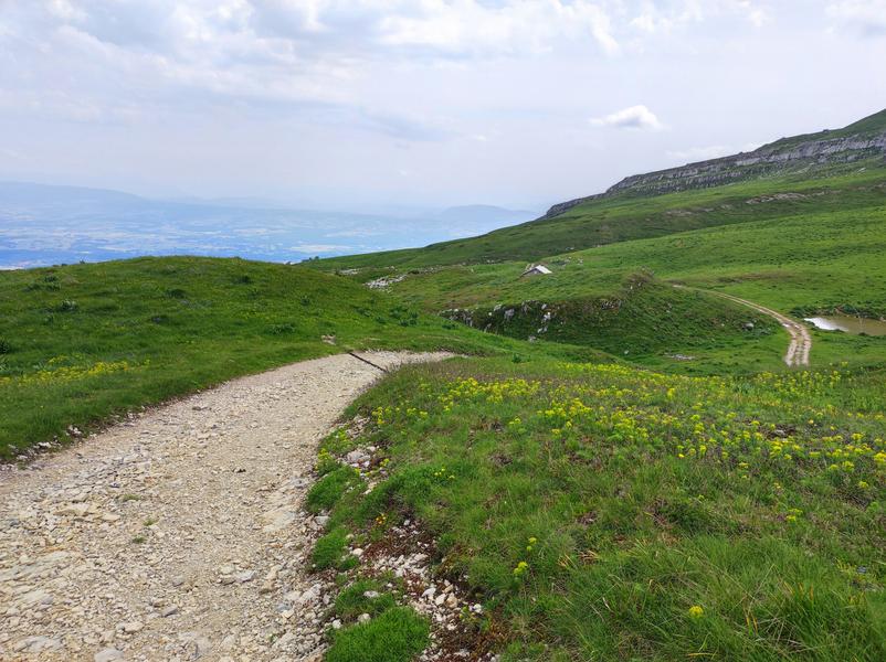 Randonnée pédestre : Crozet au Crêt de la Neige par la Calame_Crozet