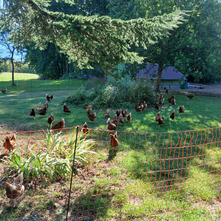 Les Pieds dans le Local® ! Visite d'exploitation : la Ferme du Mont