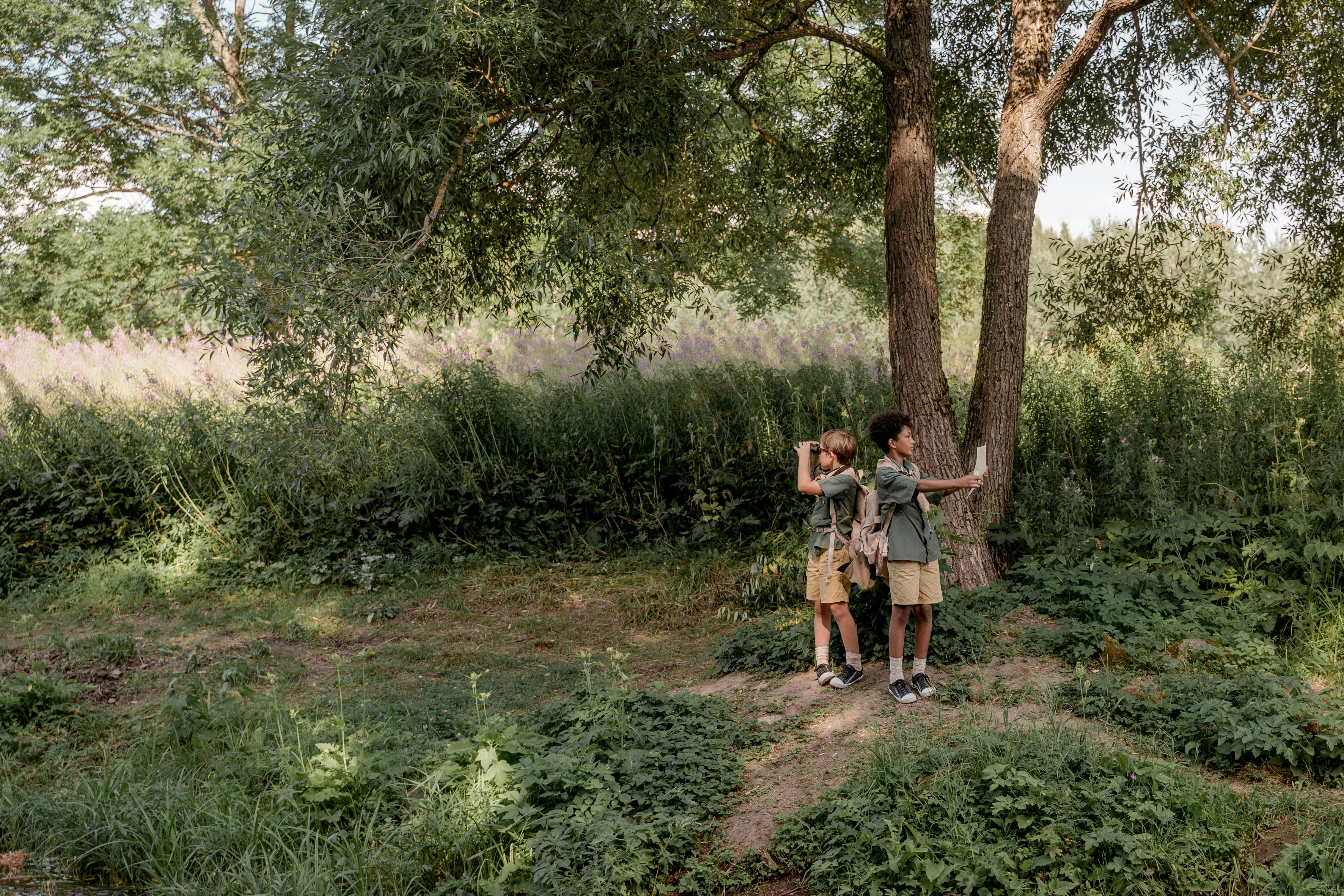 Chasse au Trésor - Camping des Tourbières