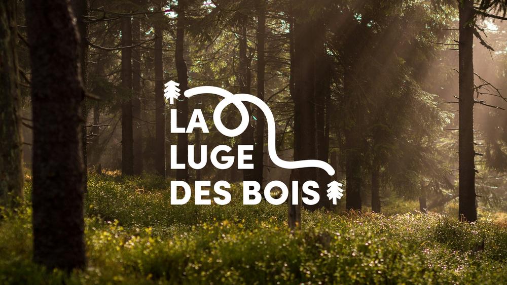 Luge des Bois_La Clusaz