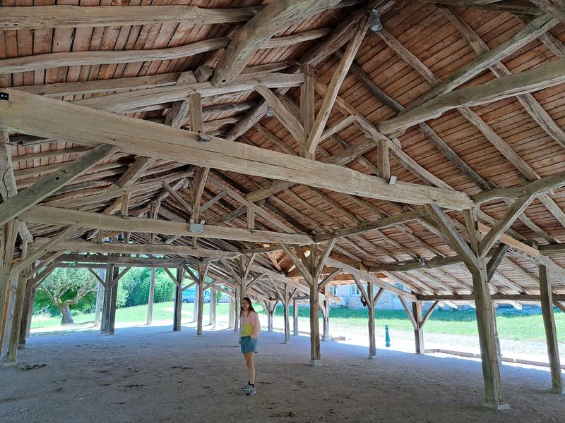 Carronnière de Mollardoury_Saint-Trivier-de-Courtes