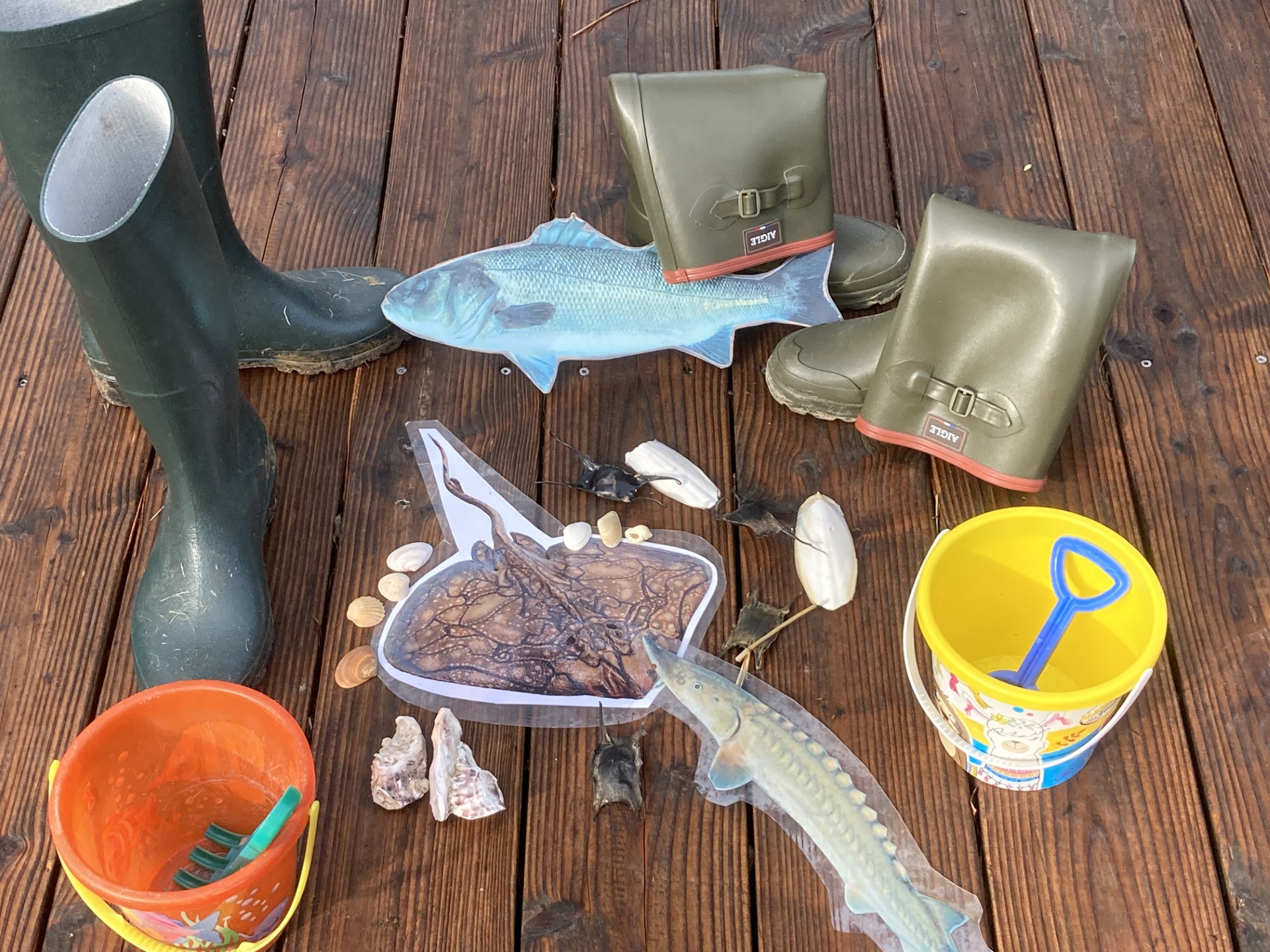 Animation spéciale petits « Bouts de choux marins »