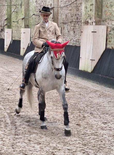 Cercle Équestre de Saint Aubin (CESAB)