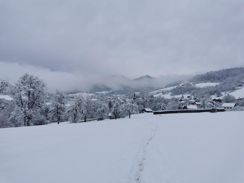 Espace ludique : Balade boule de neige 