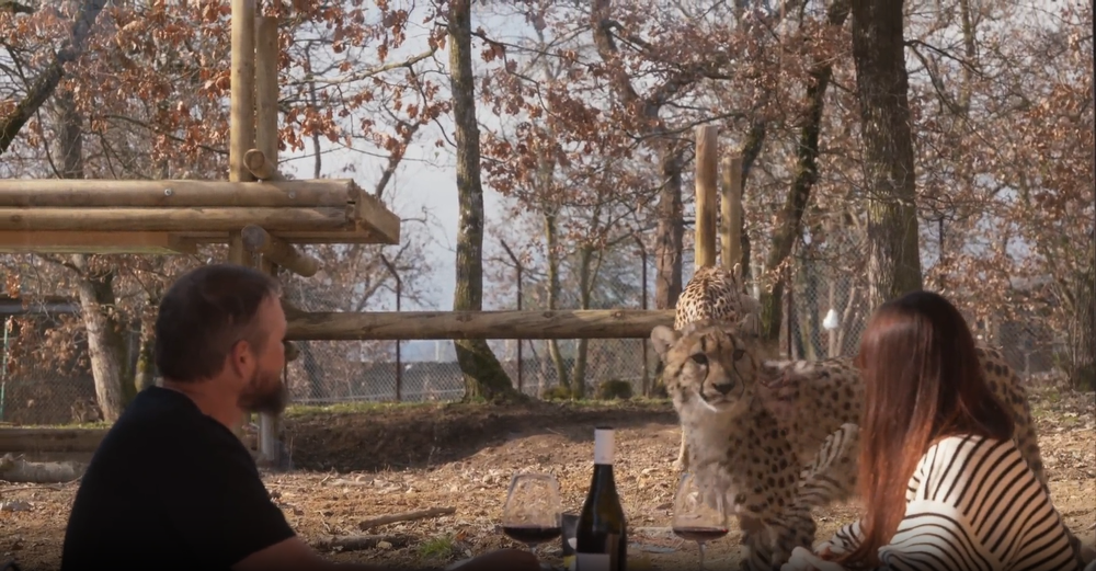 face à face avec les guépads