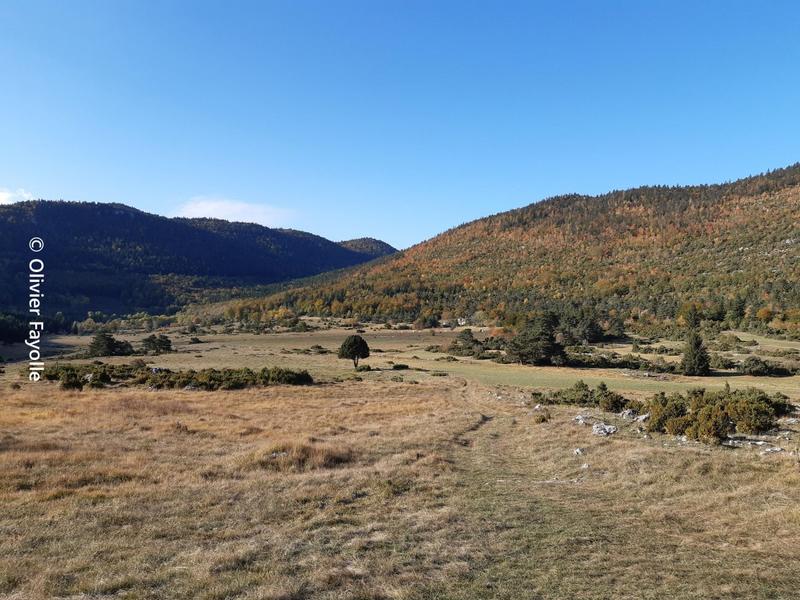 Combe de Loscence
