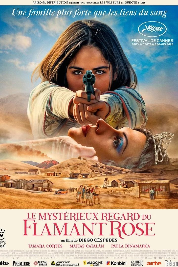 Ciné-rencontre : Le Mystérieux regard du flamant rose