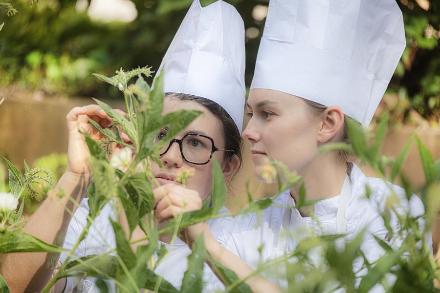 La Rotonde des Trésoms