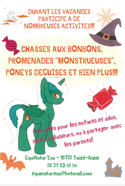 Activités poney