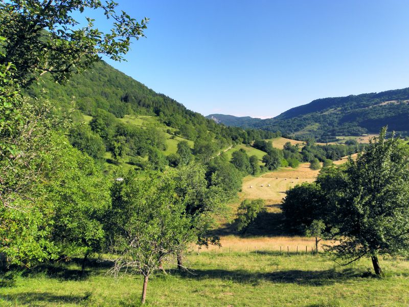 Champs campagne Oncieu