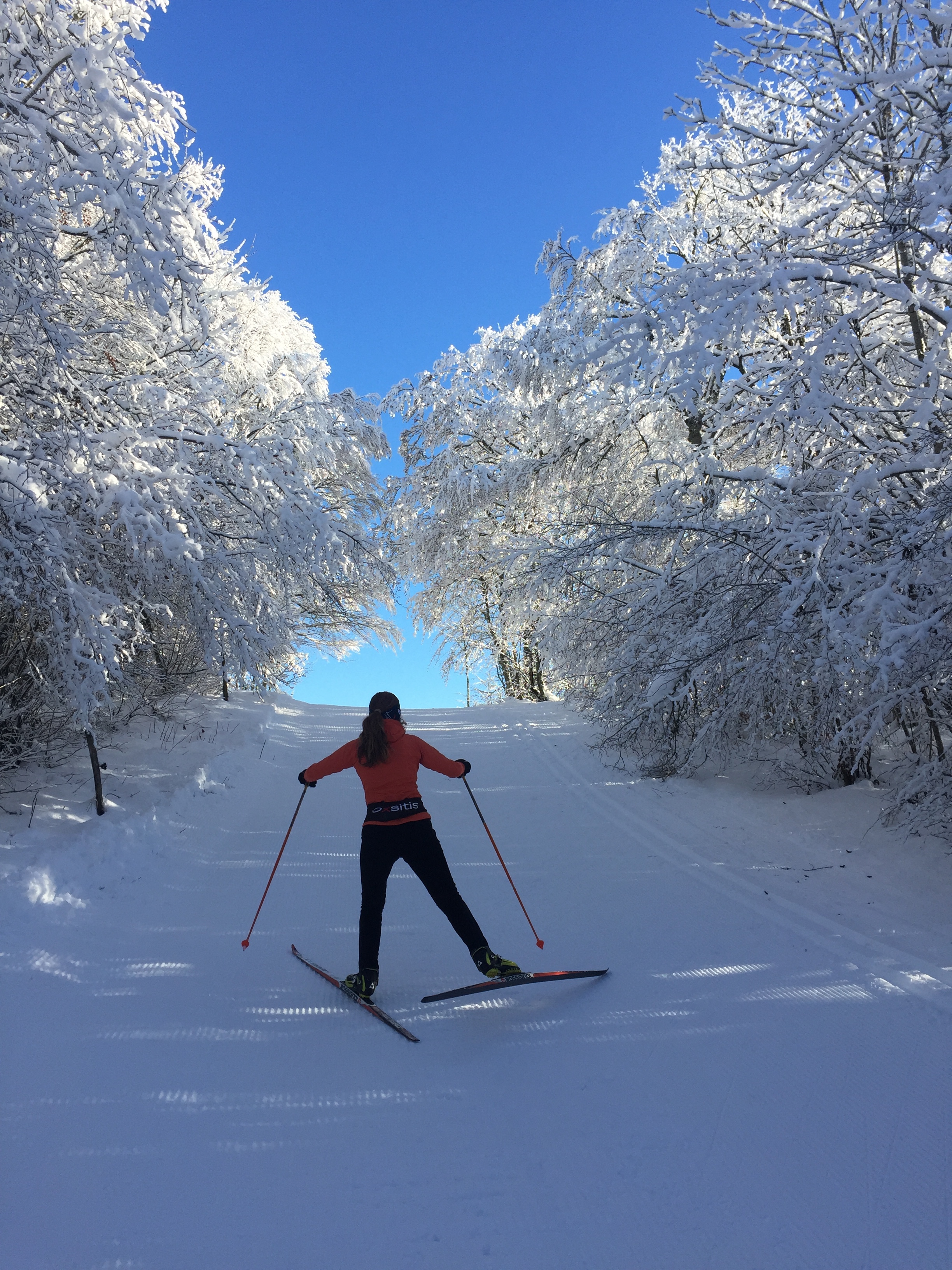 Piste bleue de ski de fond du Plateau de Retord : Les Ruches