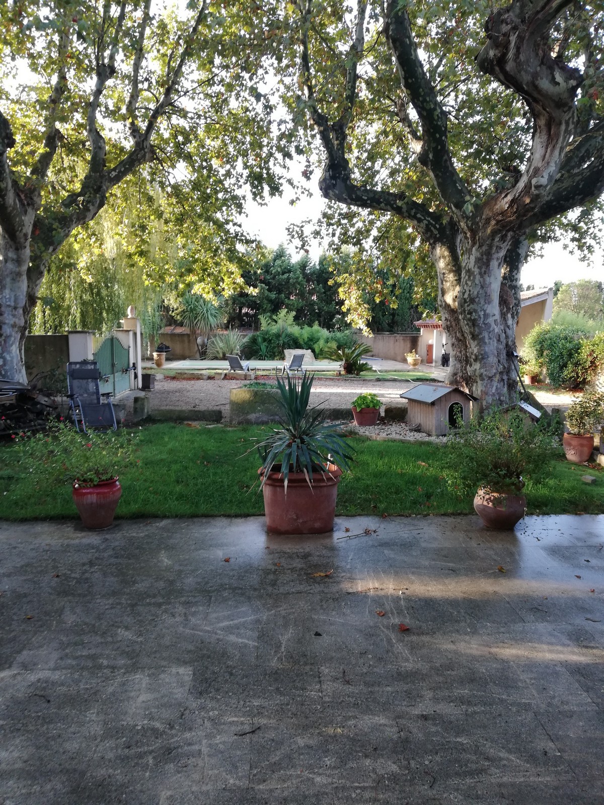 Mas de Bidot — photo 2