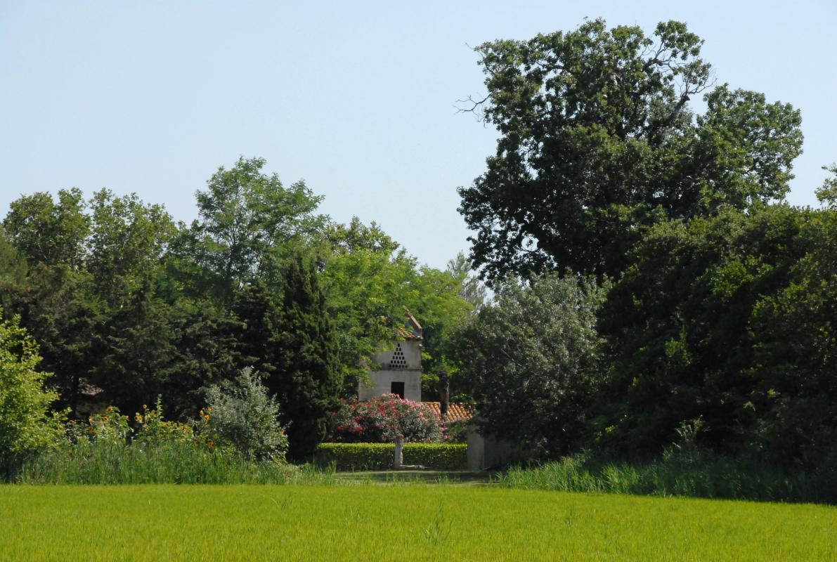 Le Pigeonnier, Arles - photo 5