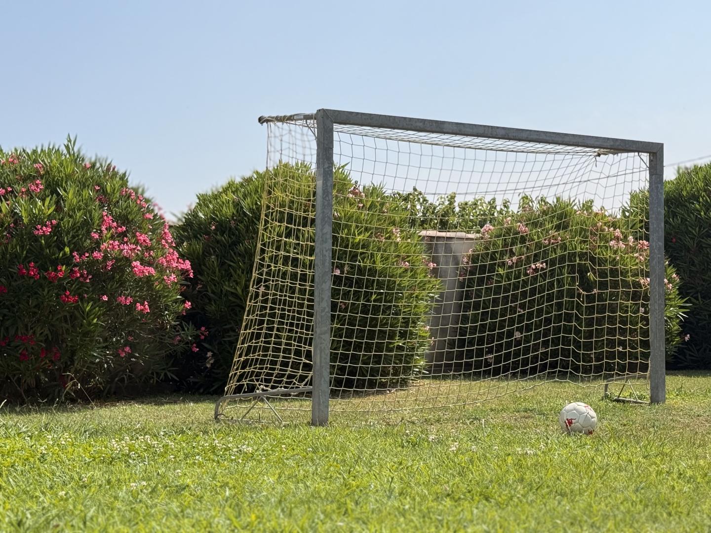 Gite L'Olivier, Fontvieille - photo 15