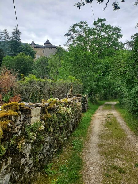 Château de Coiselet