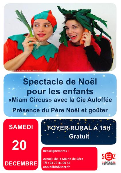 Spectacle de Noël
